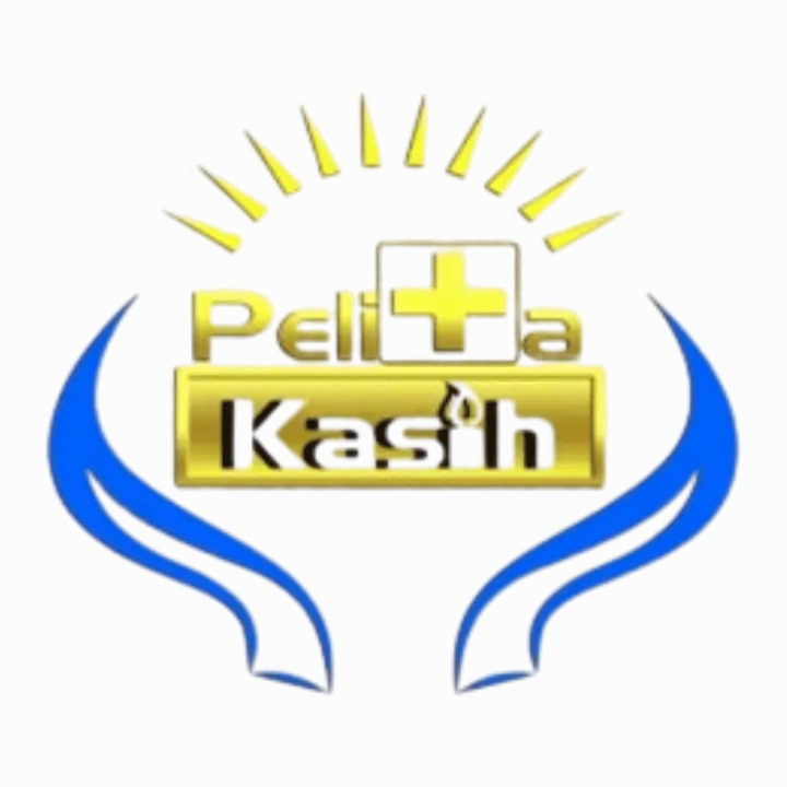 Web - RS. Pelita Kasih